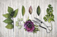 Botanica Fine Art Print