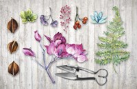 Botanica II Framed Print