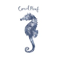 Seahorse Coral Reef Framed Print