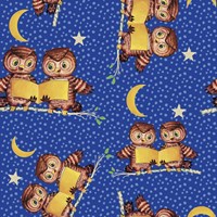 Cute Baby Owls Starry Night Pattern Fine Art Print