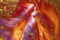 Shelter Fine Art Print