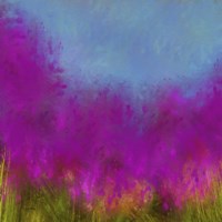 Wildflowers Fine Art Print