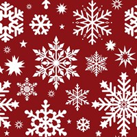 Snowflake Pattern Fine Art Print