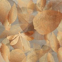 Copper Forest Fine Art Print