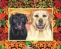 Autumn Border Fine Art Print