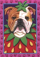 Bulldog Strawberry Fine Art Print