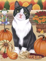 Harvest Cat Fine Art Print