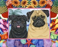 Summer Border Fine Art Print