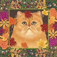 Autumn Persian Fine Art Print