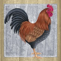Chicken 1 Fine Art Print