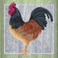 Chicken 2 Framed Print