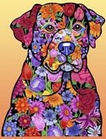 Flower Black Lab Fine Art Print