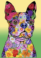 Flowers Boston Terrier Fine Art Print