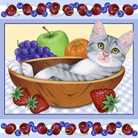Fruit Bowl Kitten Fine Art Print