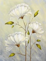 Cream II Fine Art Print