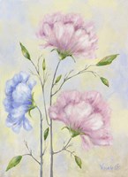 Serenity II Fine Art Print