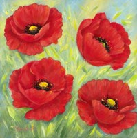 Poppies A Fine Art Print