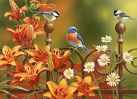 Rusty Fence and Lilies Fine Art Print