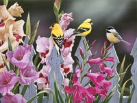 Feathered Friends and Gladiolus Fine Art Print