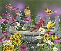 Learning to Fly Fine Art Print