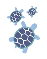 Three Turtles - Blue Fine Art Print