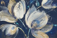 Midnight Garden Fine Art Print