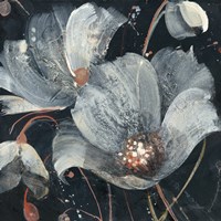 Translucent Poppies Fine Art Print