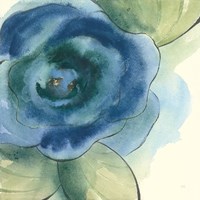 Wannabe Poppies III Fine Art Print