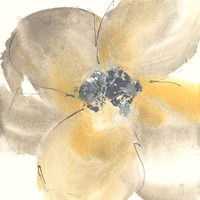 Flower Tones II Fine Art Print