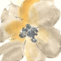 Flower Tones I Fine Art Print