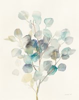 Eucalyptus III Fine Art Print