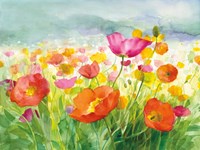 Meadow Poppies Fine Art Print