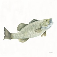 Gone Fishin Small Mouth Fine Art Print