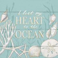 Tranquil Morning II Framed Print