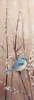 Pretty Birds II Fine Art Print
