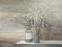 Pussy Willow Still Life Gray Pots Fine Art Print