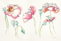 Pink Somniferums Bright Fine Art Print