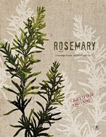 Organic Rosemary No Butterfly Fine Art Print