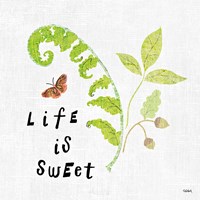 Wild Wings V Framed Print