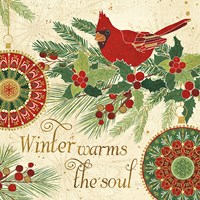 Winter Feathers VI Framed Print