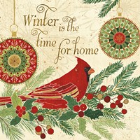 Winter Feathers V Framed Print