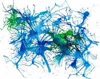 Splatters 1 Fine Art Print