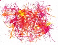 Splatters 2 Fine Art Print