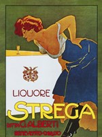 Strega Fine Art Print