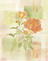 Nature Fine Art Print