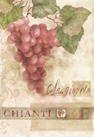Chianti Sangioveto 2 Fine Art Print