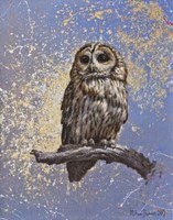 Owl Fine Art Print