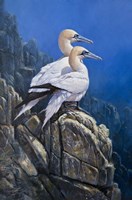 Together Fine Art Print