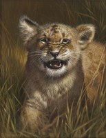 Defiant Fine Art Print