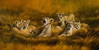 Mothers Pride Fine Art Print
